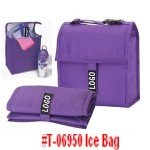 T-06950